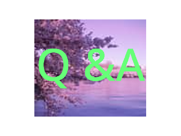 Ask me Questions so i can put it in my Q&A project