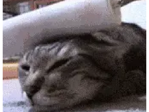 ROLLERCAT