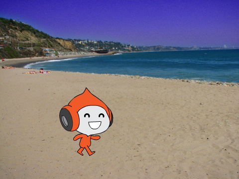 Pico Wander Around The World