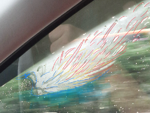 A swan with phoenix feathers