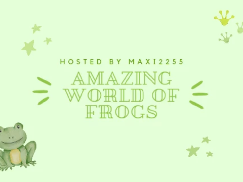[Polski] - Niesamowity Świat Żab - Amazing World Of Frogs