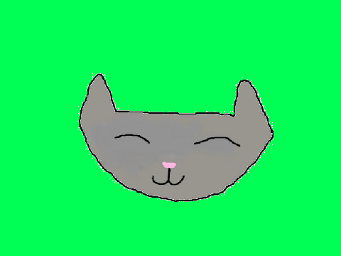 The blinking cat!!!