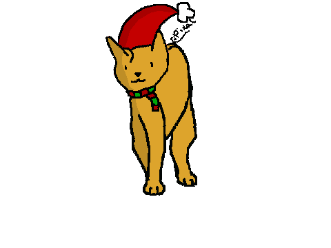 Orange chistmas cat