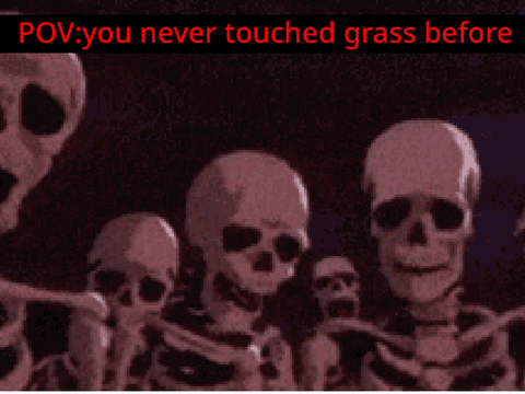 POV: you’ve never touch grass before