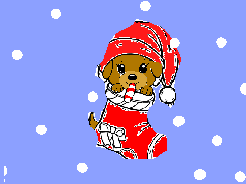 Christmas dog 