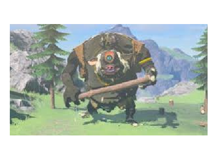 Hinox Battle.