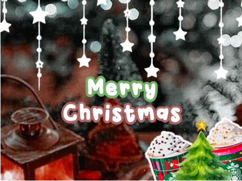 Christmas Banner Entry