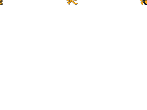 3-D CATZZZ