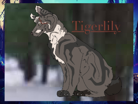 <---Tigerlily-->