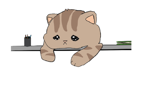 For tabby cat 01