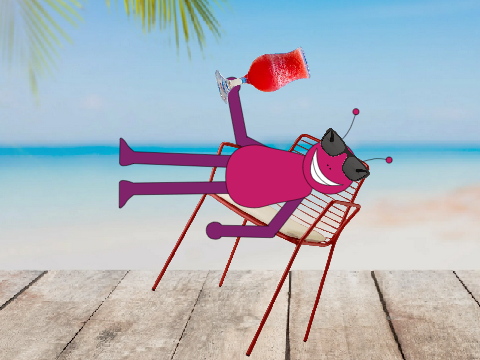 bugbo chilling
