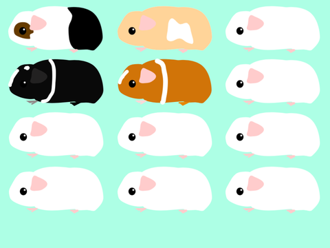 Add your own guinea pig Remix remix-2