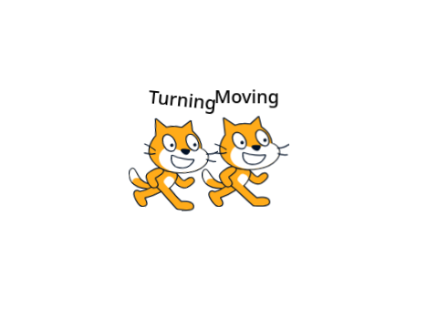Turning/Movement Test