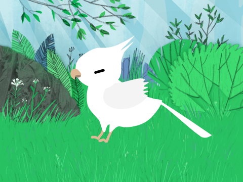 Bird Animation remix