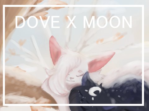 Dovepaw X Moonpaw Christmas Lofi Fanart