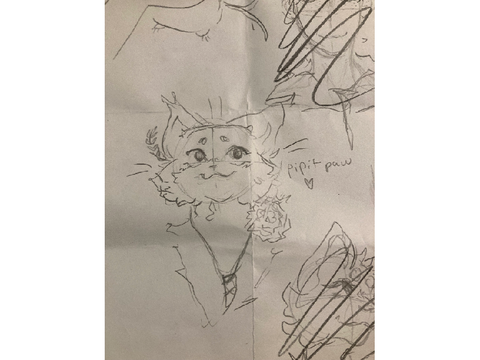 pip sketch