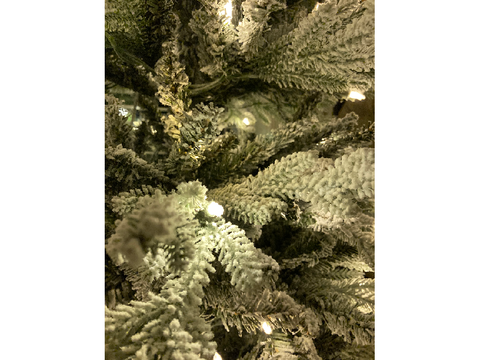 Christmas/New Year gift