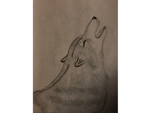 Awooooooo!!