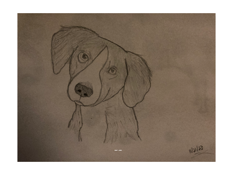 Cute pup