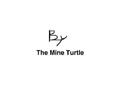 Entry(da turtle will WIN!!!!!)
