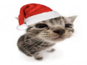 When Christmas The Photo Will Show!