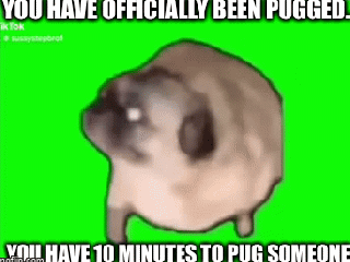you beened pugged!