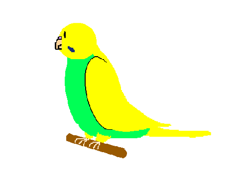 Parakeet 