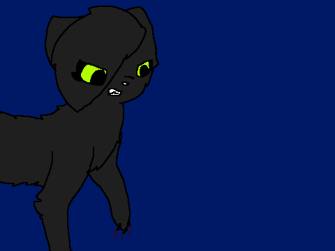 Random Animation