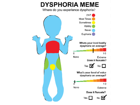 I was bored so I did the dysphoria meme