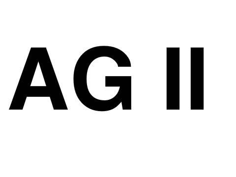AG II Sign up Entry!