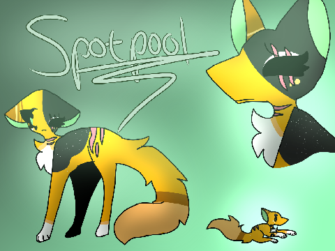 Spotpool || Day 6