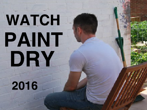 WATCH PAINT DRY SIMULATOR