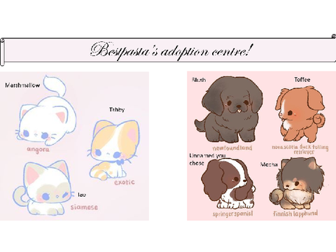 Bestpasta’s adoption centre!