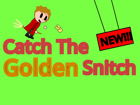 Catch the Golden Snitch //2 Player//