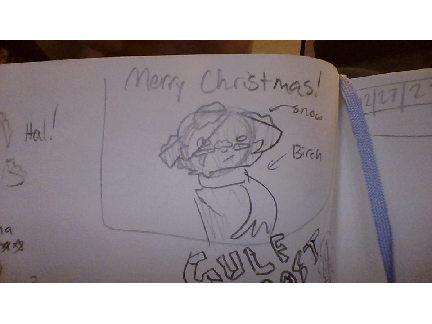 Merry (late) Christmas!