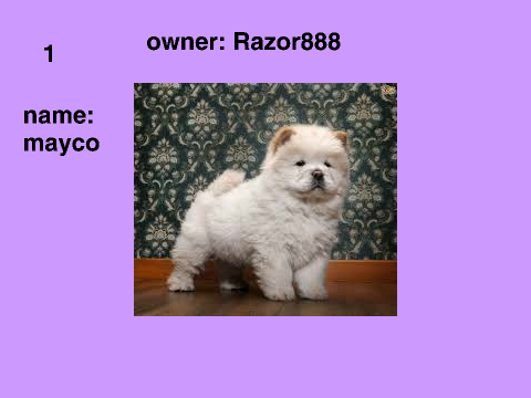 Adopt a Dog