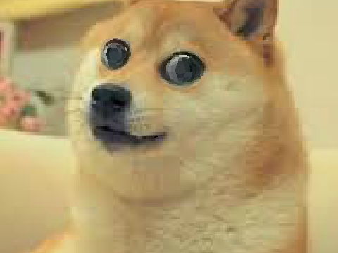 SAVE DOGE remix