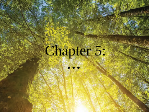Forest Story - Chapter 5