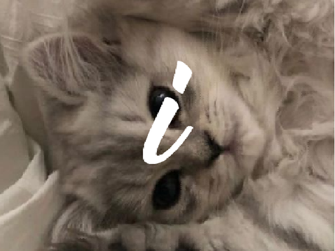 ⁱ