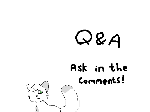 Q&A! 