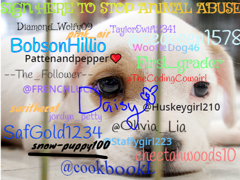 sign here to stop animal abuse   remix remix remix remix remix remix remix remix remix
