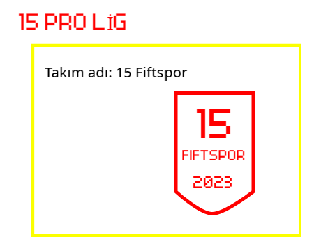 15 Pro Lig Form