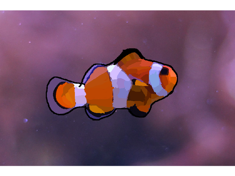 clownfish B l o c k s h a d e 