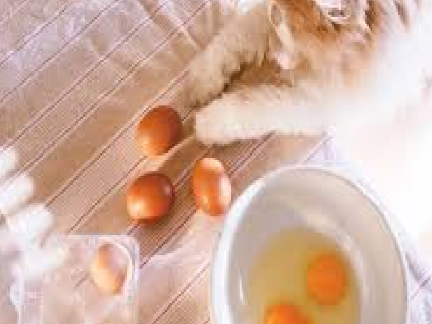 Eggs || Part 4