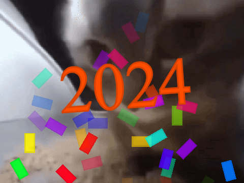 new-year countdown