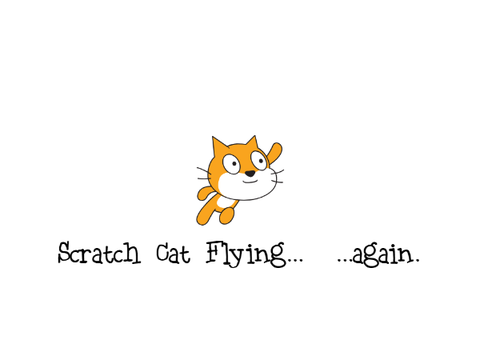 funny cats 1