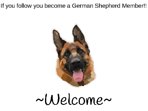 Welcome to the German Shepherd Gang!!
