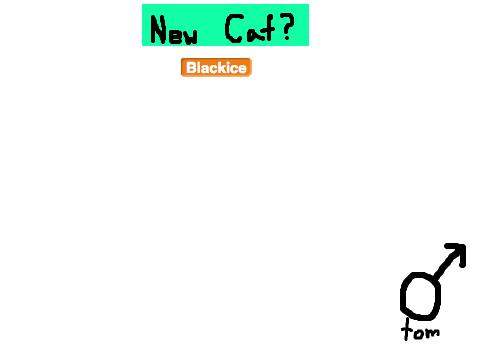 Warrior Cat Generator!