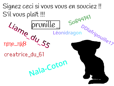 Sauvons les chats noirs !!!... remix remix remix