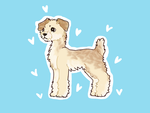 dog